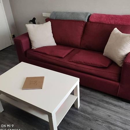 Bel Appart. 3 Mn Plage, Wifi 10 Min De Collioure Argelès-sur-Mer Eksteriør billede